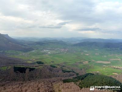 Salto del Nervión - Salinas de Añana - Parque Natural de Valderejo;taxus bacata excursiones cerca 